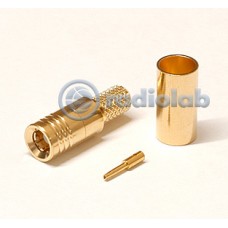 S1-111f ggt