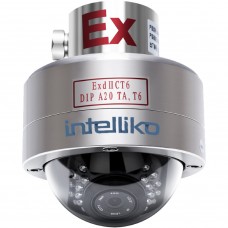 Int-exdc10a-01 взрывозащищенная видеокамера intelliko — снято с производства