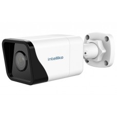 INT-VXDBC30-C01(RM-FA03-BL-A04-A01)(2.8) IP-камера, цилиндрическая, 2Мп