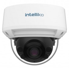 INT-VXDBC30-C01(RM-FA03-DM-A02-A01)(2.7-13.5) IP-камера, купольная, 2Мп