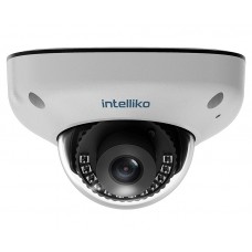 INT-VXDBC30-C01(RM-FA03-DM-A05-A02)(2.1) IP-камера, купольная, 5Мп