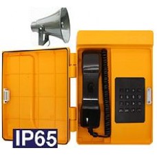 TALK-3824 — промышленный IP-телефон, IP65